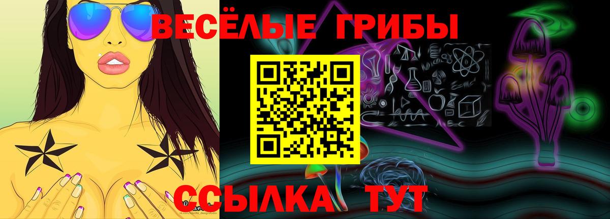 Сарапул  Галлюциногенные грибы прущие грибы  наркота  Вход с VPN 